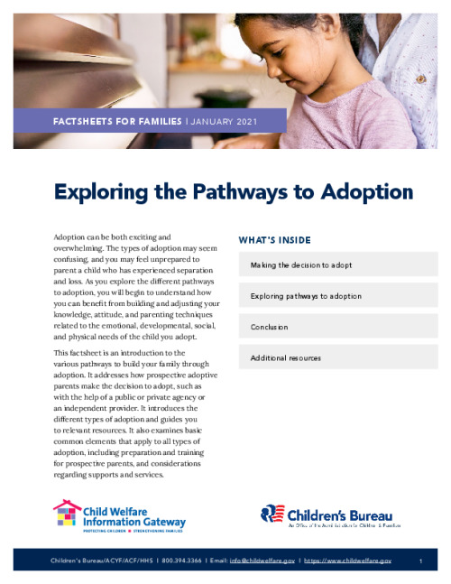 Exploring the Pathways to Adoption