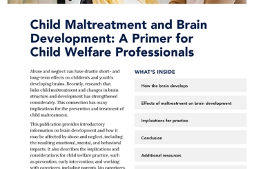 Cover image of the publication